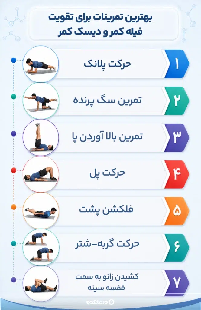اینفوگرافی «بهترین تمرینات برای تقویت فیله کمر و دیسک کمر»