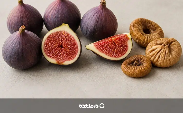 تصویر واقعی انجیر تازه و خشک، بهعنوان یکی از منابع غذایی حاوی ویتامین B6 را می بینید