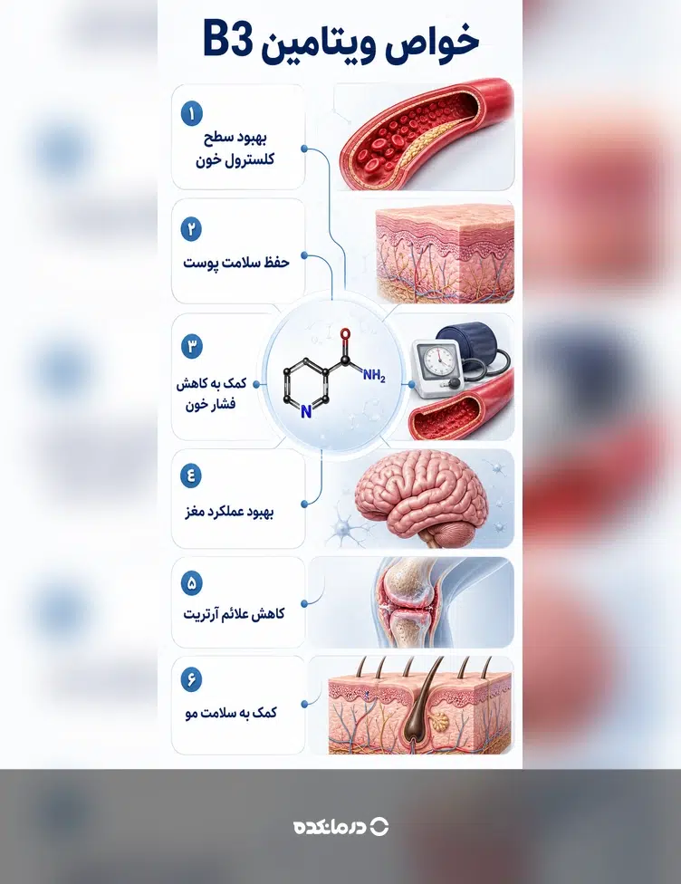 اینفوگرافیک خواص ویتامین B3