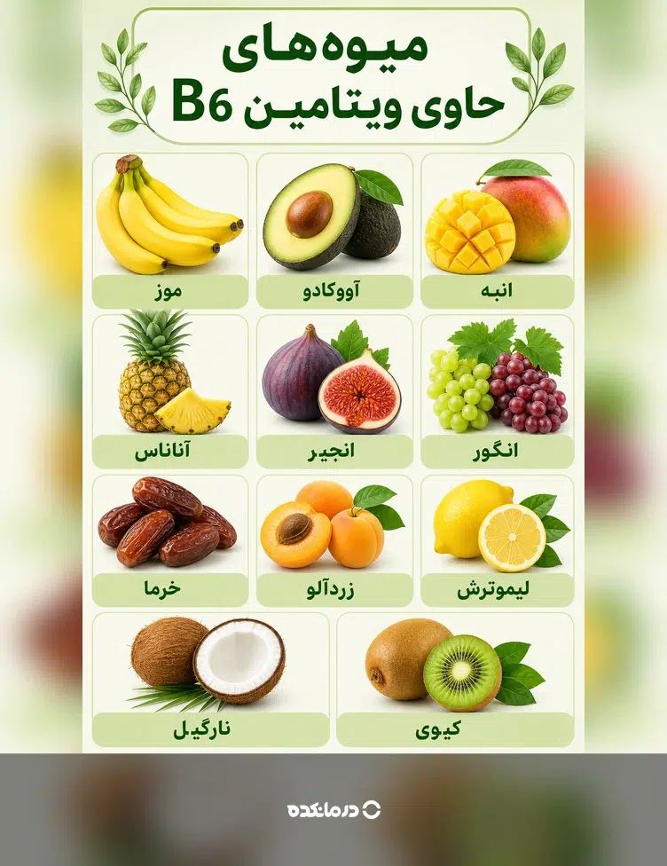 اینفوگرافیک میوههای حاوی ویتامین B6 شامل موز، آووکادو، انبه، آناناس، انجیر، انگور، خرما، زردآلو، لیموترش، نارگیل و کیوی