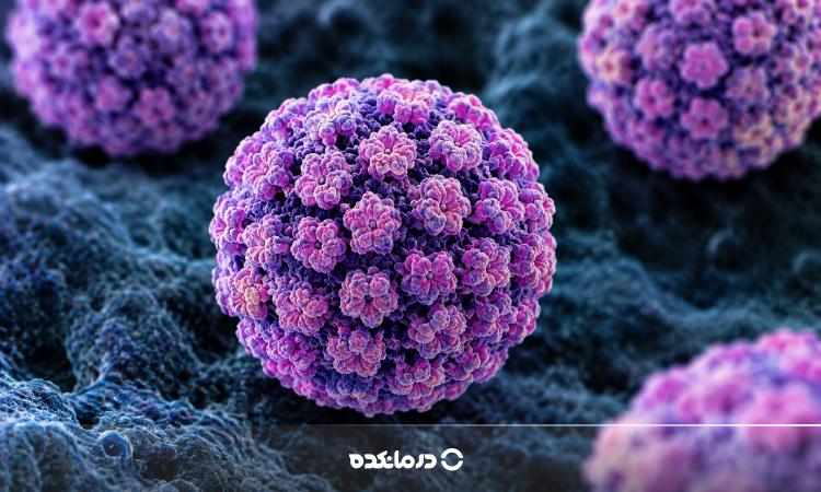 تصویر میکروسکوپی از ویروس HPV را می بینید