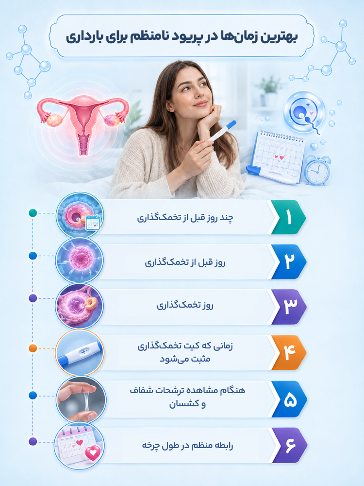 اینفوگرافی بهترین زمانها در پریود نامنظم برای بارداری