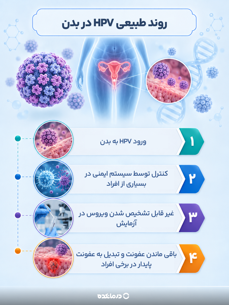 اینفوگرافیک روند طبیعی HPV در بدن (ورود HPV به بدن، کنترل توسط سیستم ایمنی در بسیاری از افراد، غیر قابل تشخیص شدن ویروس در آزمایش، باقی ماندن عفونت و تبدیل به عفونت پایدار در برخی افراد)