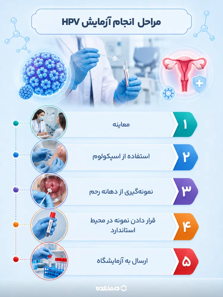 اینفوگرافی نحوه انجام آزمایش HPV و نمونهگیری از دهانه رحم
