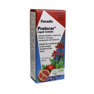 Floradix Protecor Syrup